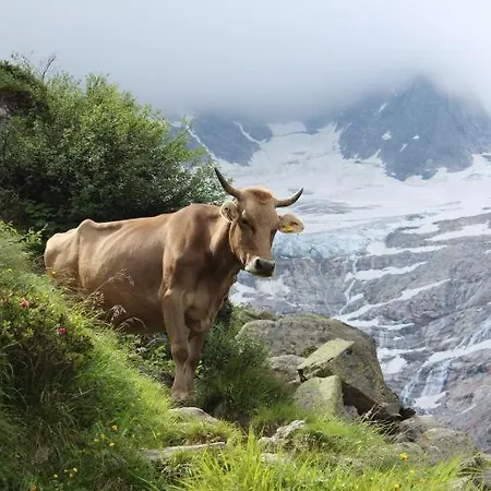 Schiestl's Almstüberl