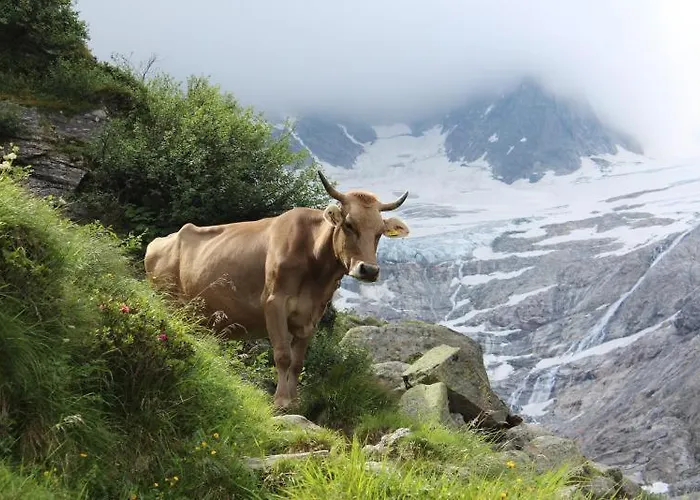 Almstueberl - Schiestl's Ferienhuetten